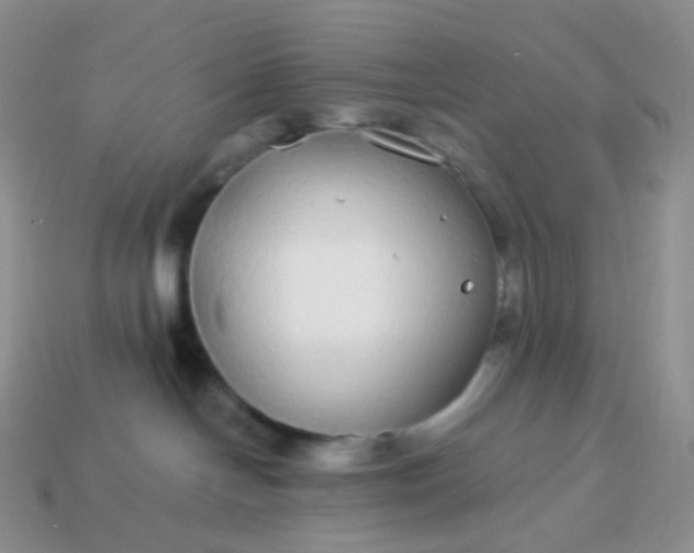 X0000114160094200910221617