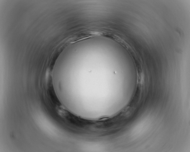 X0000114160095200910221617