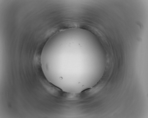 X0000114160096200910221617