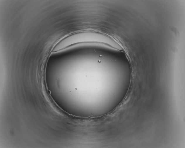 X0000114160097200910221617