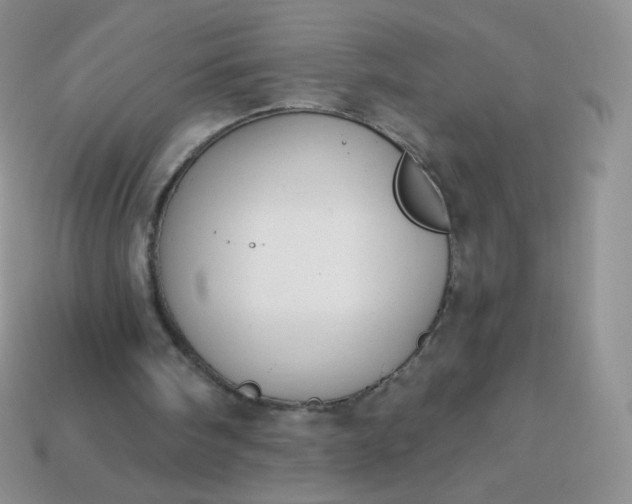 X0000114160098200910221617