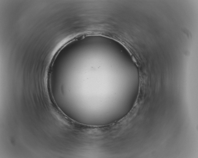 X0000114160100200910221617