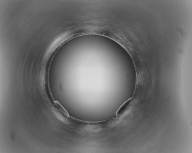 X0000114160101200910221617