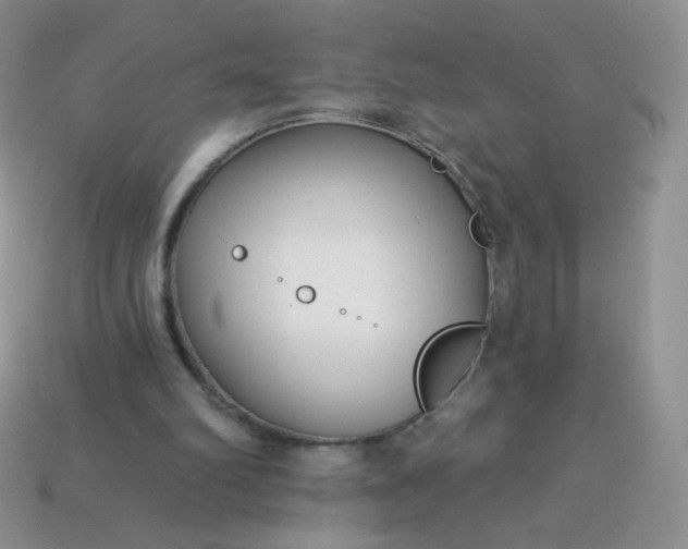 X0000114160102200910221617