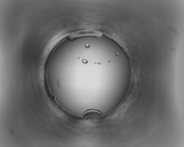 X0000114160103200910221617