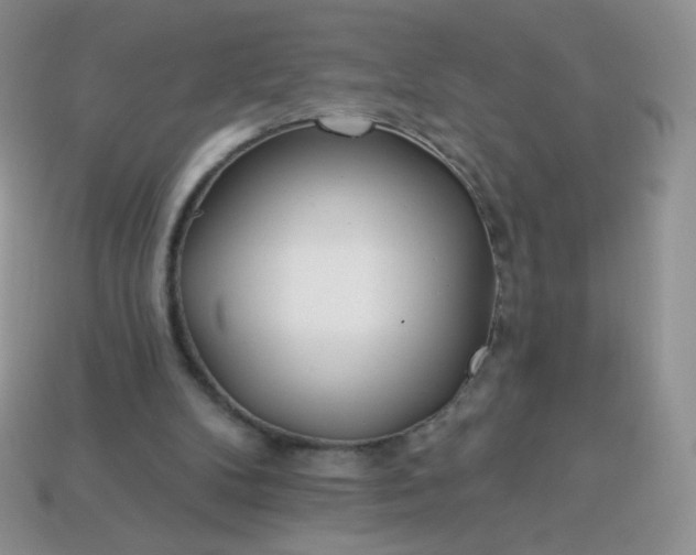 X0000114160104200910221617