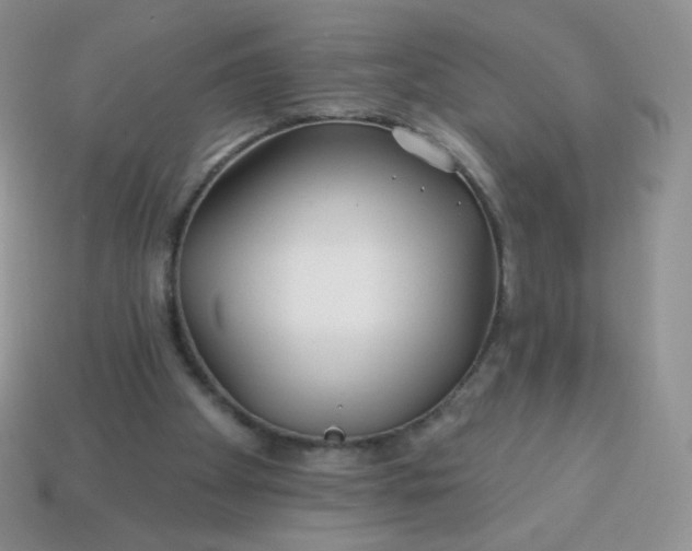 X0000114160105200910221617