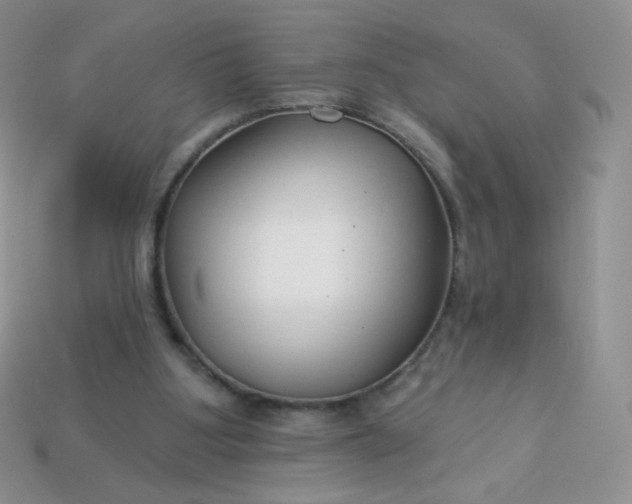 X0000114160107200910221617