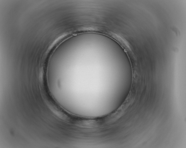 X0000114160108200910221616