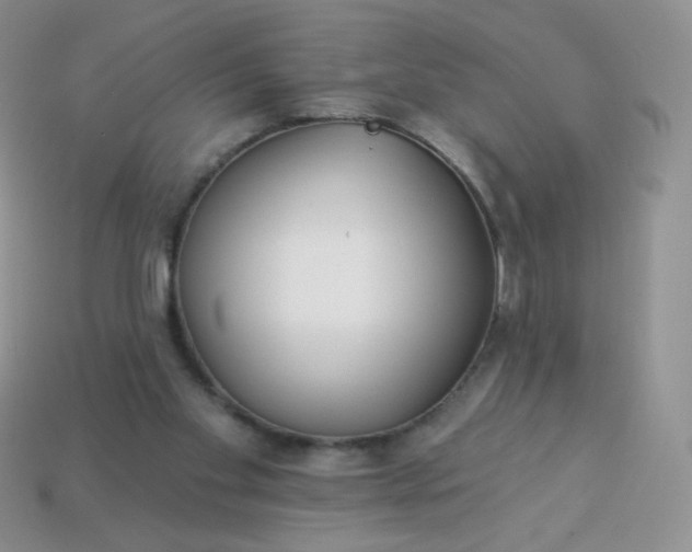 X0000114160109200910221616