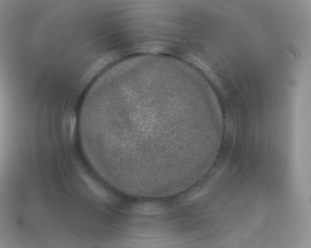 X0000114160110200910221616