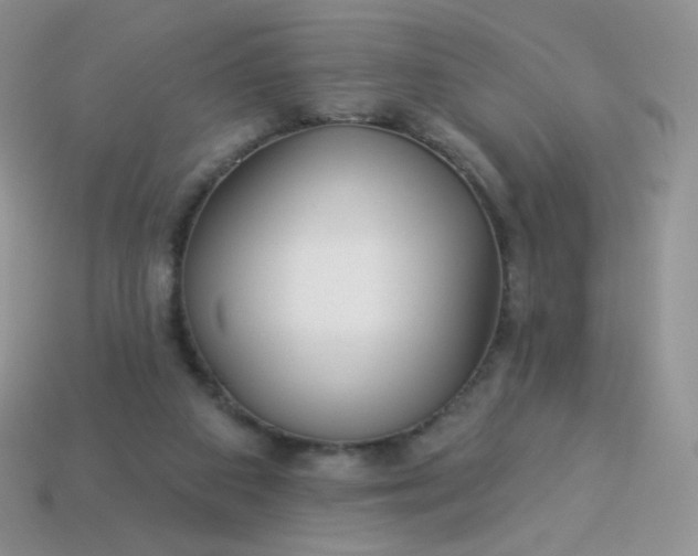 X0000114160113200910221616