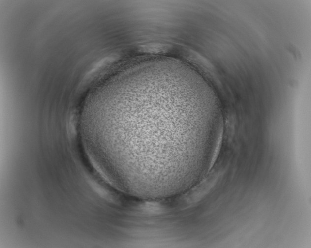 X0000114160114200910221616