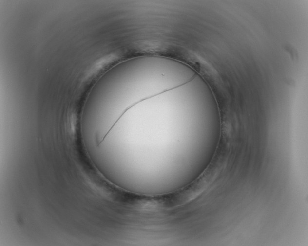 X0000114160115200910221616