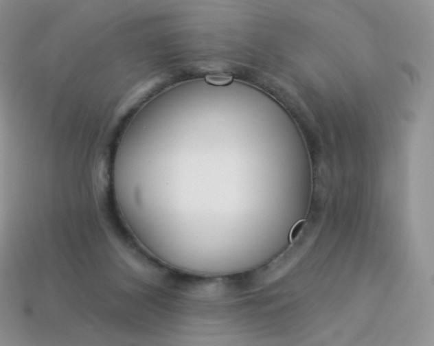 X0000114160116200910221616