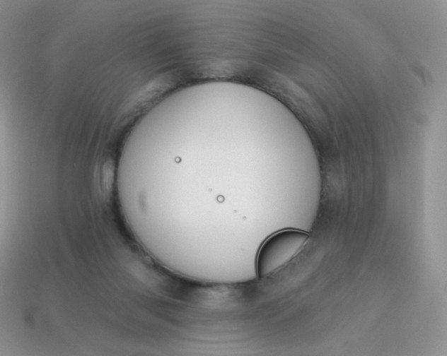 X0000114160118200910221616