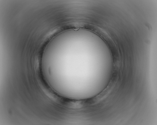 X0000114160120200910221616