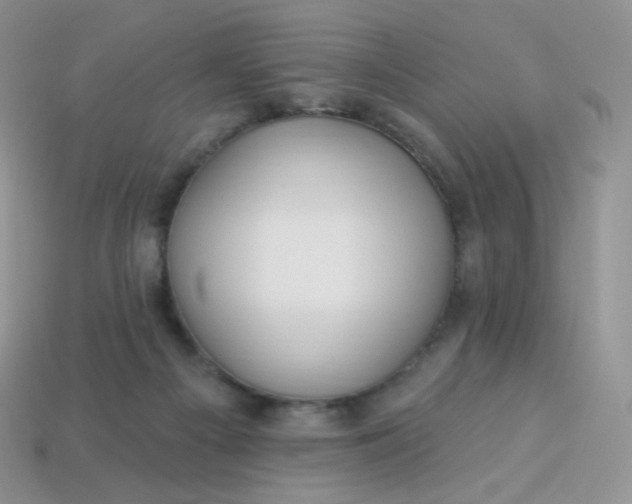 X0000114160121200910221616