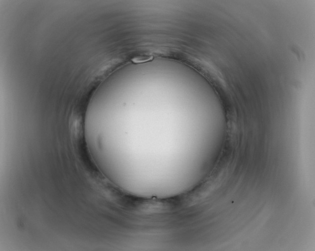 X0000114160123200910221616