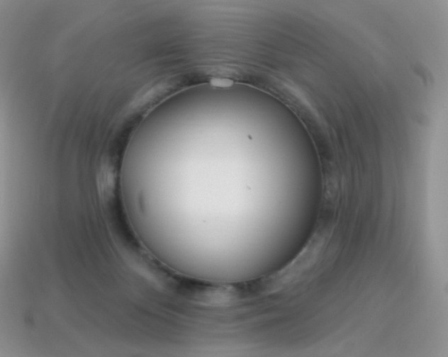 X0000114160124200910221616