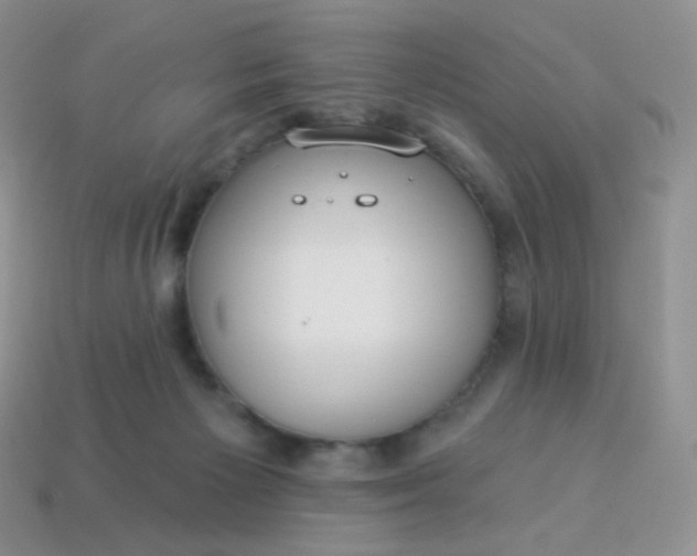 X0000114160125200910221616