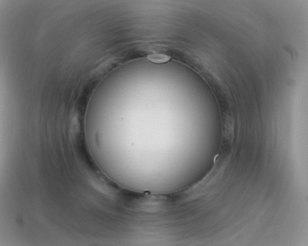 X0000114160128200910221616