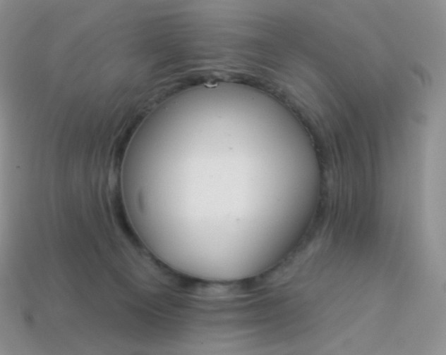 X0000114160129200910221616