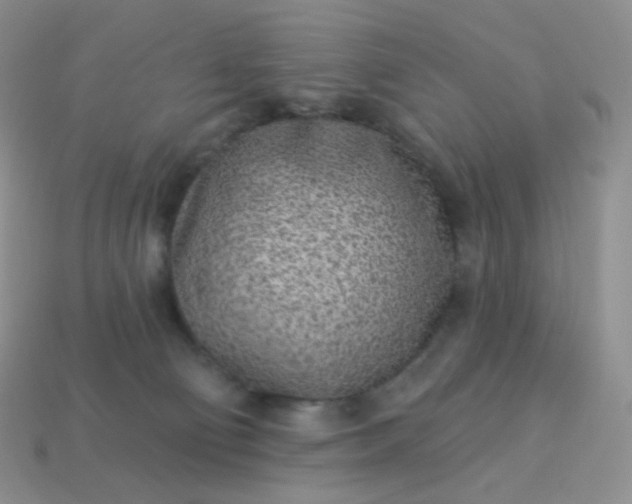 X0000114160130200910221616