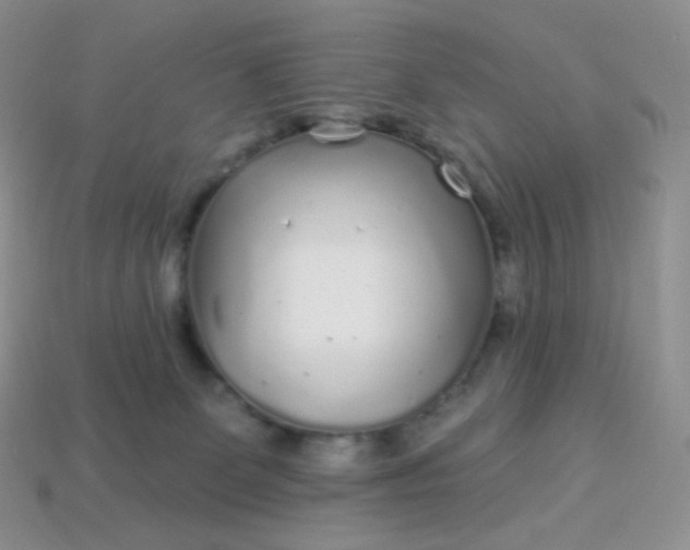 X0000114160131200910221616