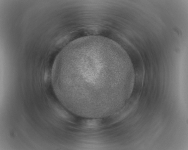 X0000114160134200910221616