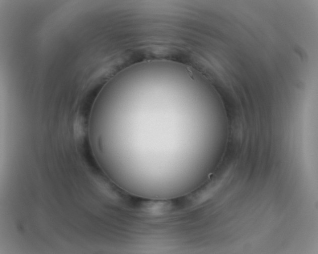 X0000114160135200910221616