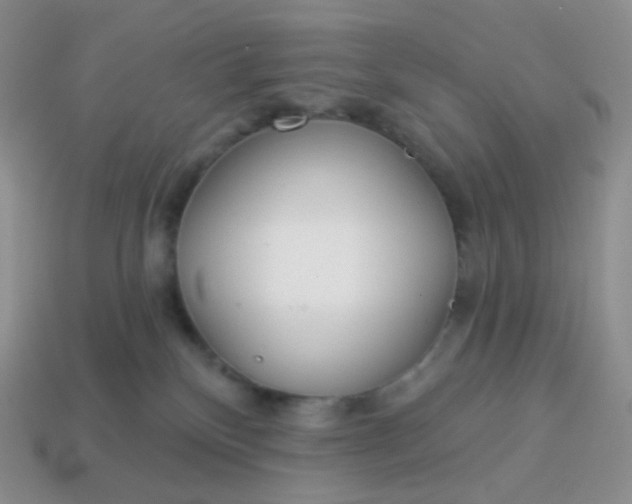 X0000114160136200910221616