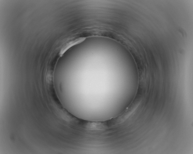 X0000114160137200910221616