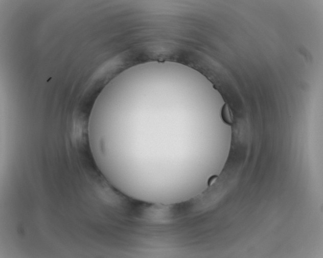 X0000114160138200910221616