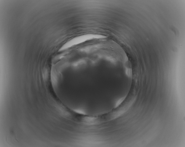 X0000114160139200910221616