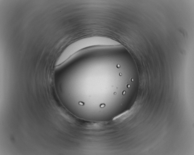 X0000114160140200910221616