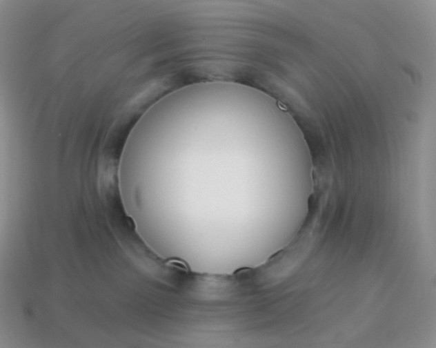 X0000114160141200910221616