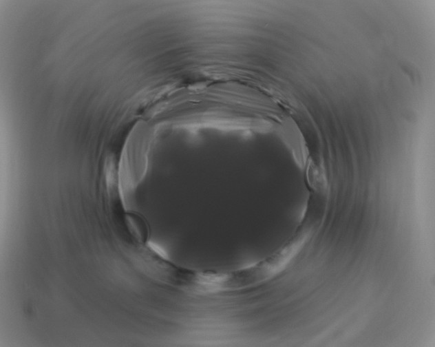 X0000114160143200910221616