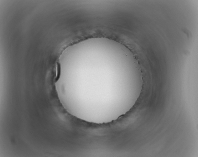 X0000114160144200910221616