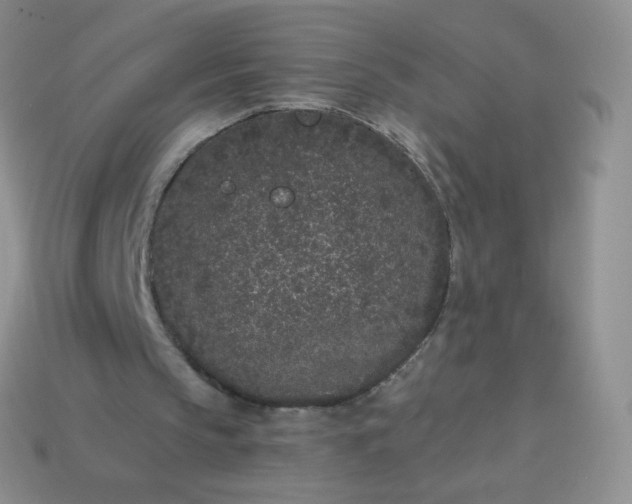 X0000114160145200910221615