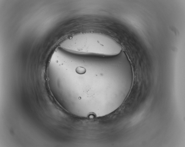 X0000114160146200910221615