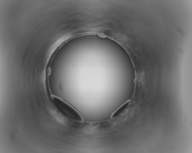 X0000114160148200910221615