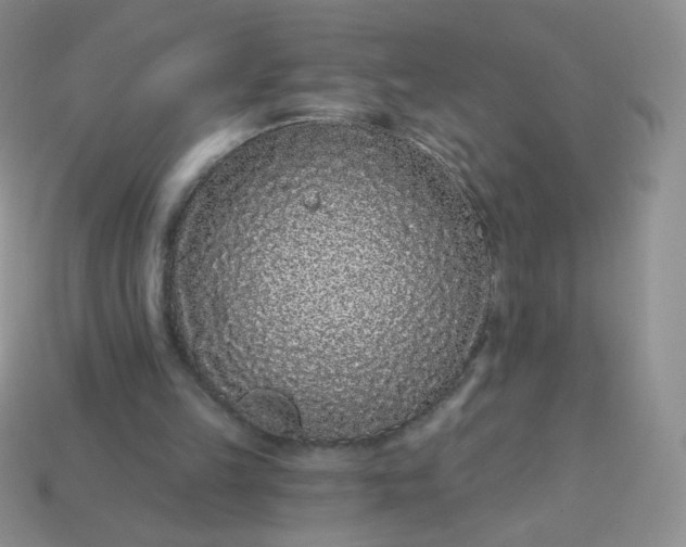 X0000114160149200910221615