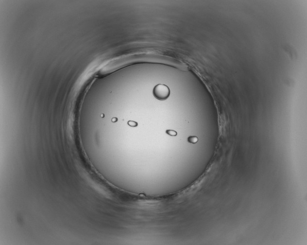 X0000114160150200910221615