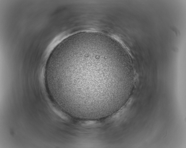 X0000114160151200910221615