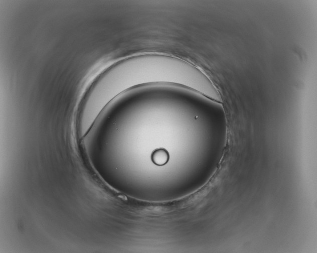 X0000114160152200910221615