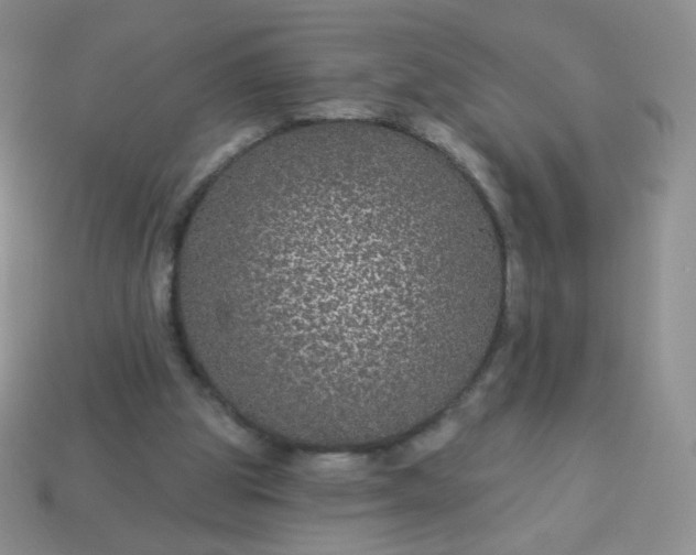 X0000114160153200910221616