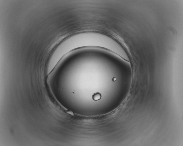 X0000114160154200910221616