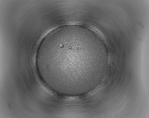 X0000114160155200910221616