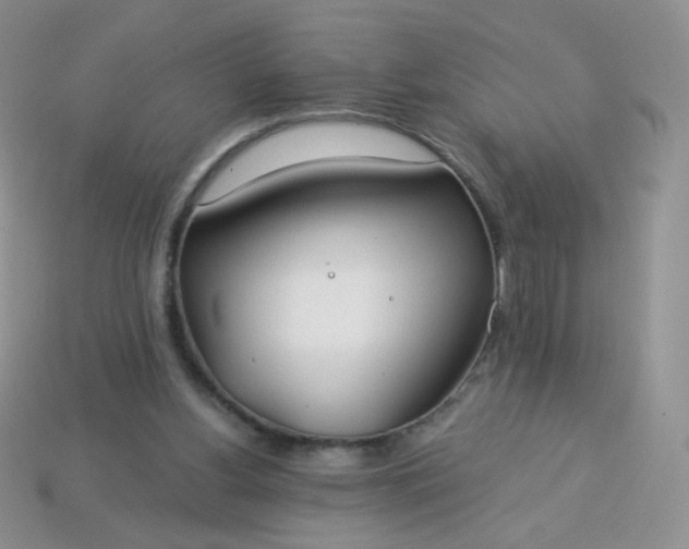 X0000114160156200910221616